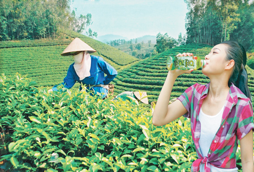 Những điều chưa biết về trà xanh ảnh 1